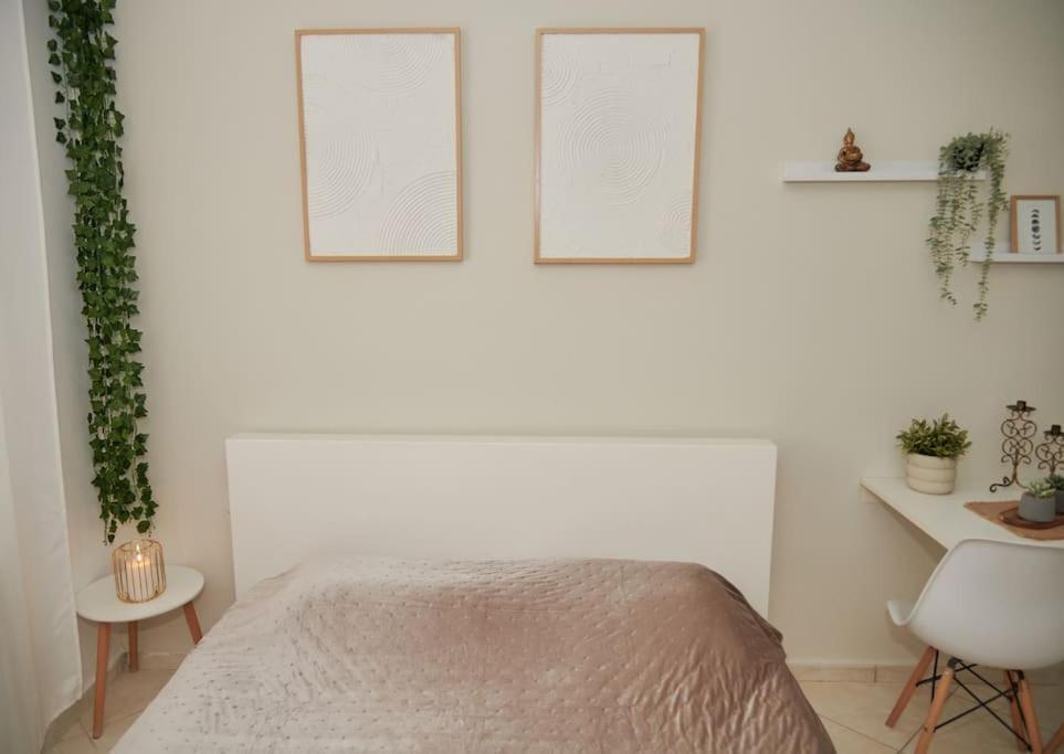 Florina Modern Studio מראה חיצוני תמונה