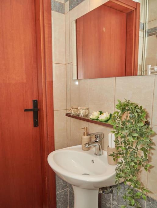 Florina Modern Studio מראה חיצוני תמונה