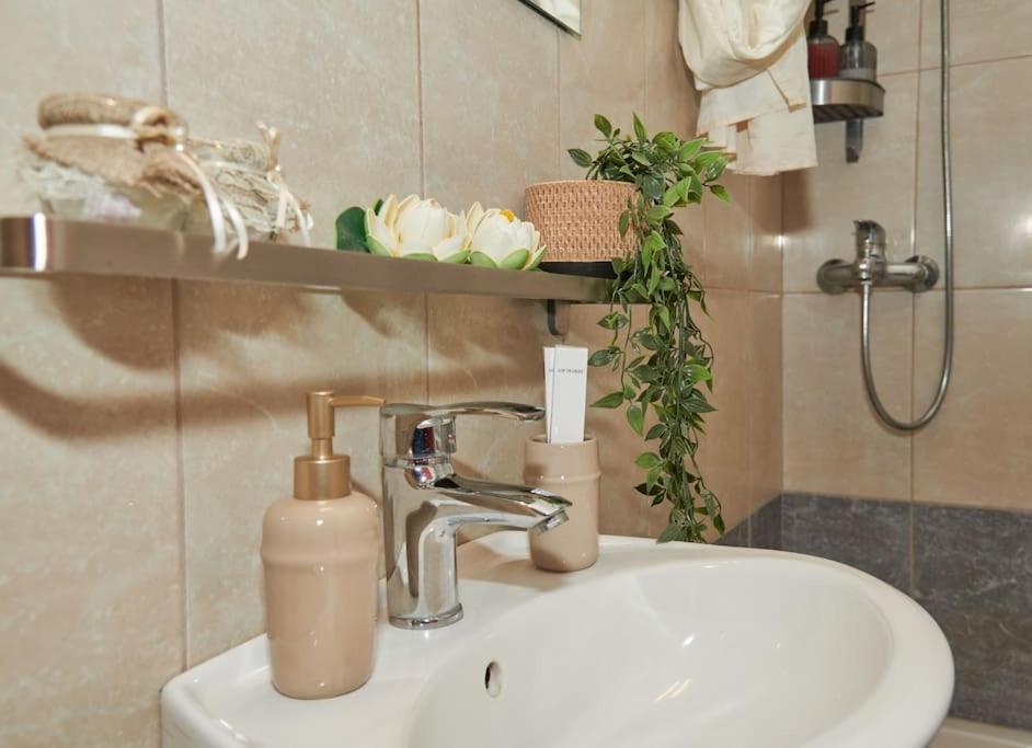 Florina Modern Studio מראה חיצוני תמונה